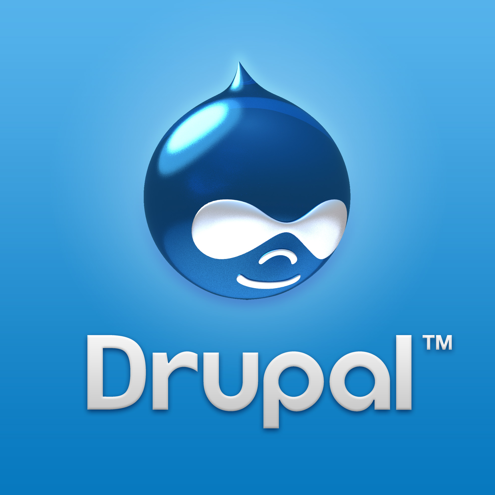 Three Upgrades You Should Splurge On For Your Drupal Page Travel 